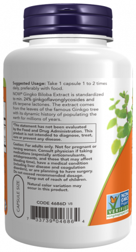 NOW Ginkgo Biloba 60 mg