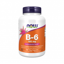 NOW B-6 100 mg